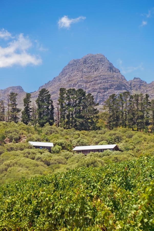 Bush Lodge At Hidden Valley Wines Стелленбос Екстер'єр фото